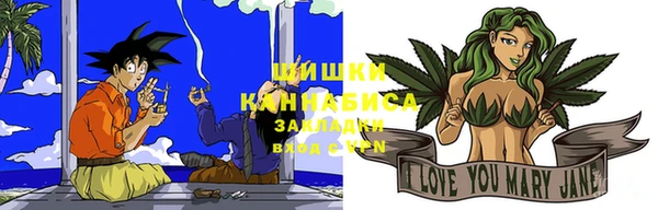 тгк Богородицк