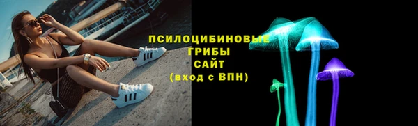 мяу мяу мука Белокуриха