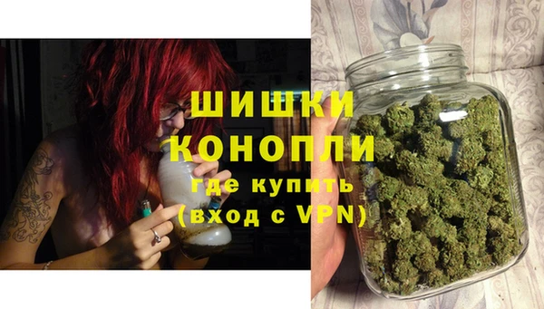 мяу мяу мука Белокуриха
