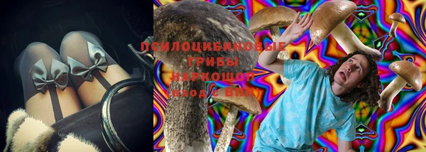 тгк Богородицк