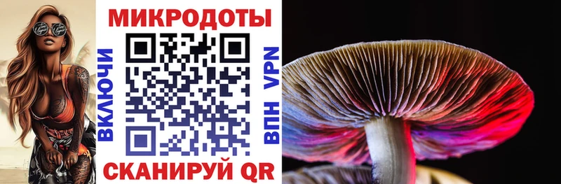 Псилоцибиновые грибы прущие грибы  хочу наркоту  Демидов 